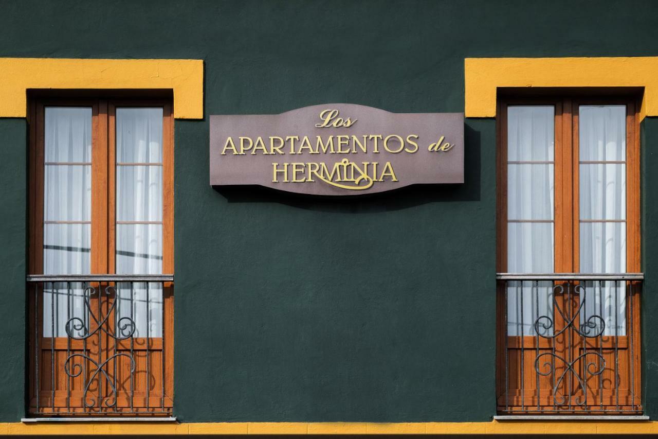 Apartamentos de Herminia Manzaneda (Asturias) Exterior foto